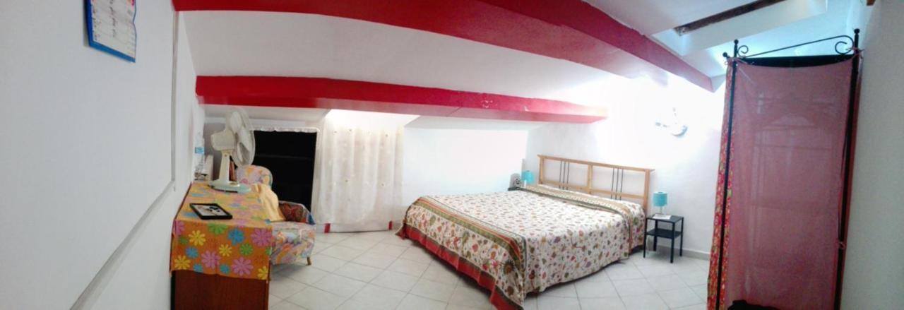 Apartament Mansarda Pieno Centro Livorno Zewnętrze zdjęcie