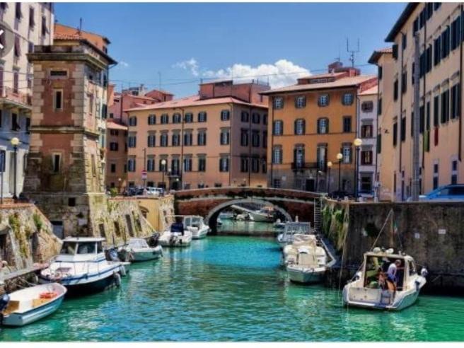 Apartament Mansarda Pieno Centro Livorno Zewnętrze zdjęcie